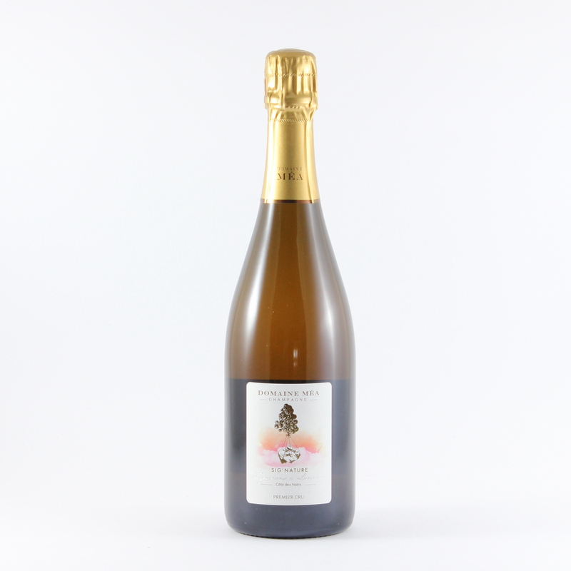 Champagne Sig Nature Extra Brut Premier Cru - Guy Mea